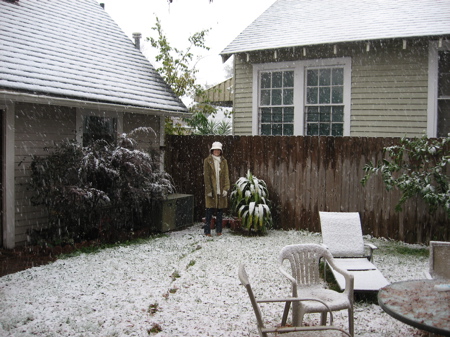 Snow in New Orleans