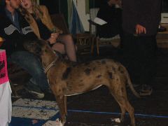 IMG_1091.JPG